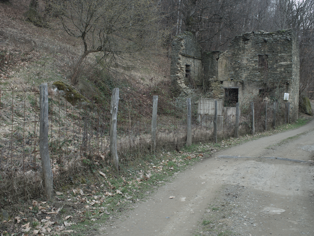 Pratovigero
