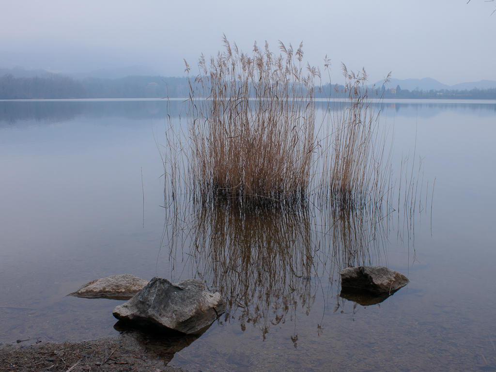 Lago Piccolo di Avigliana
