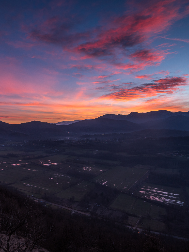 Torbiera di Trana
