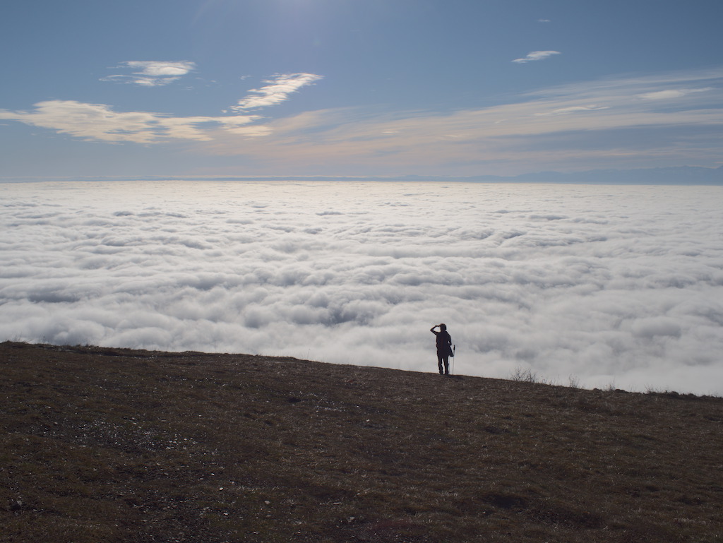 Il viandante sul mare di nebbia
