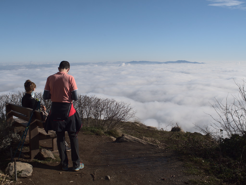 La mascherina sul mare di nebbia - Frierdrich 2021
