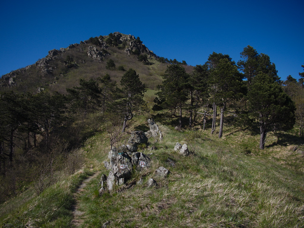 Collettassa e Monte Argentea