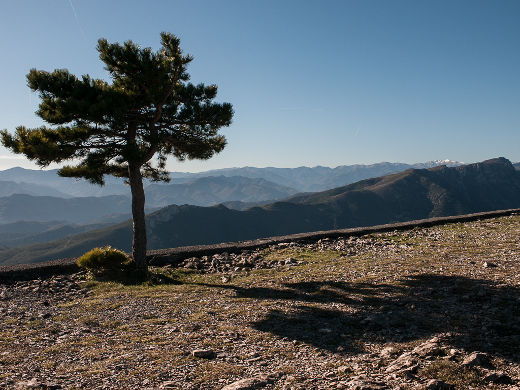 Monte Saccarello