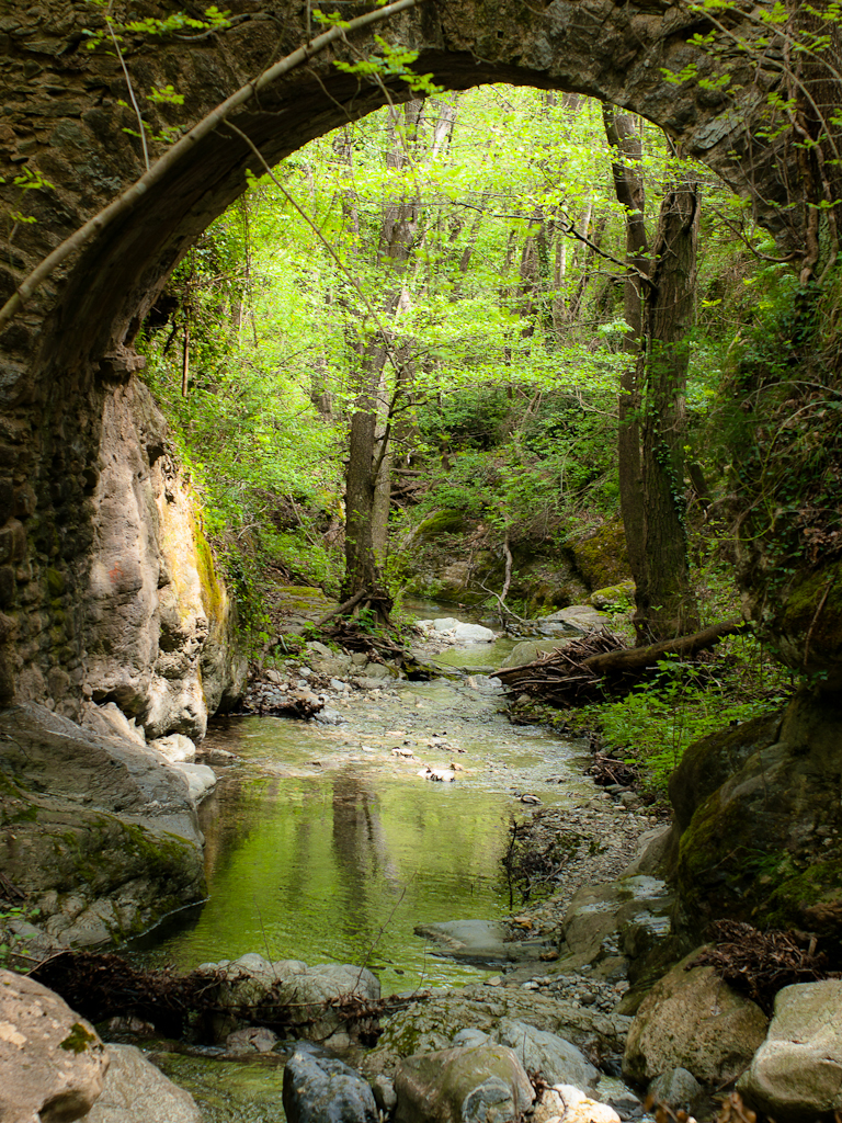 Ponte dell