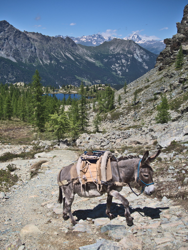 Verso il Barbustel