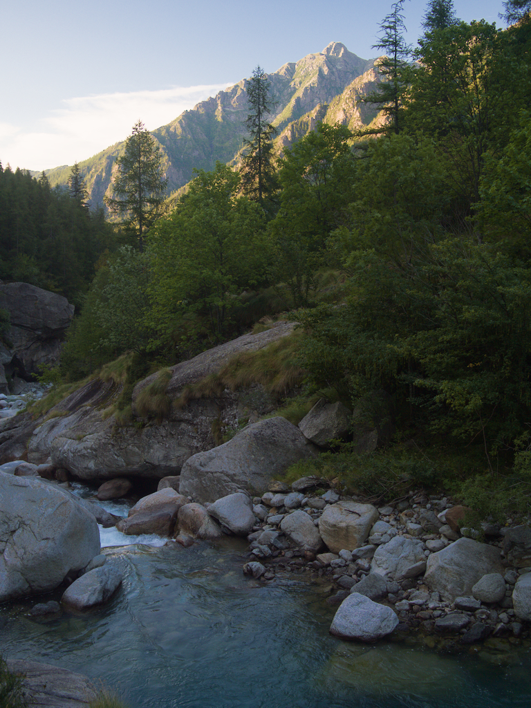 Torrente Forzo