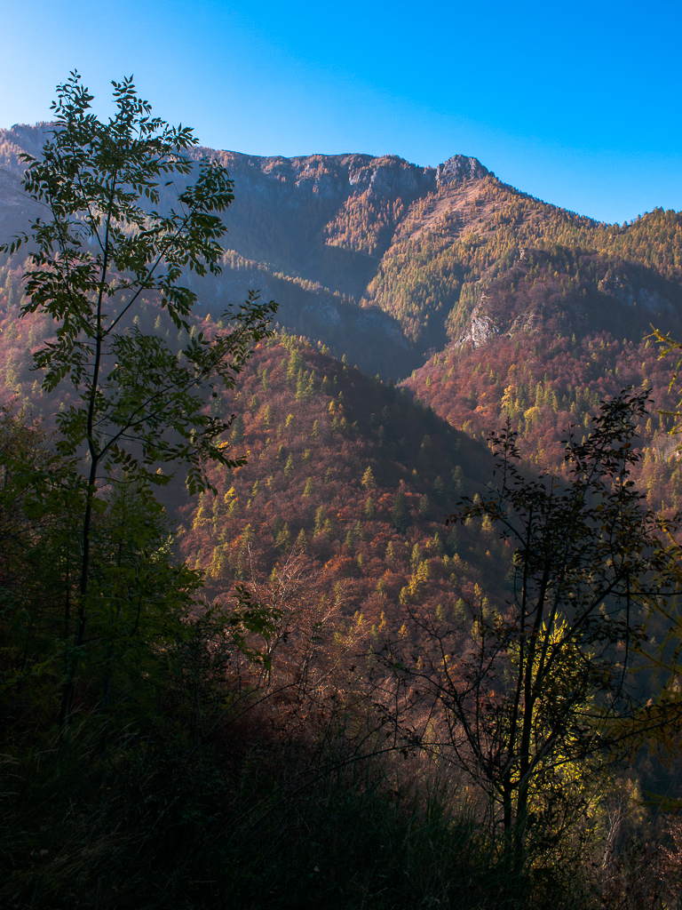 Autunno nel Bedale Tibert