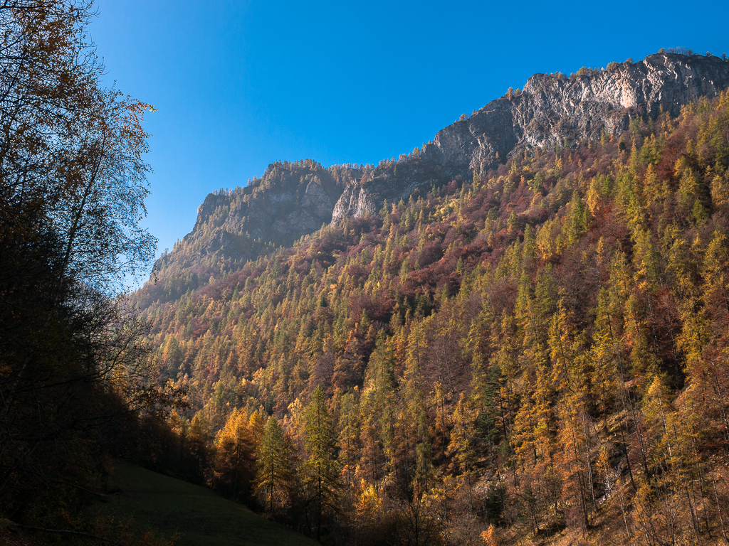 Autunno nel Bedale Tibert