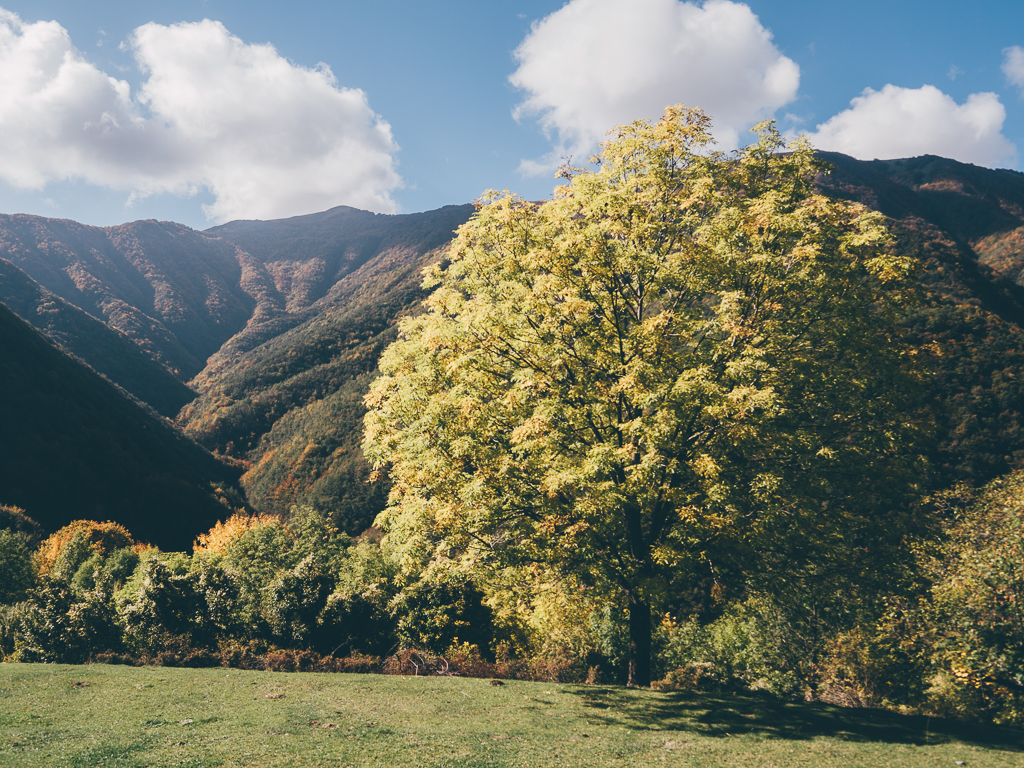 Monte Carmo