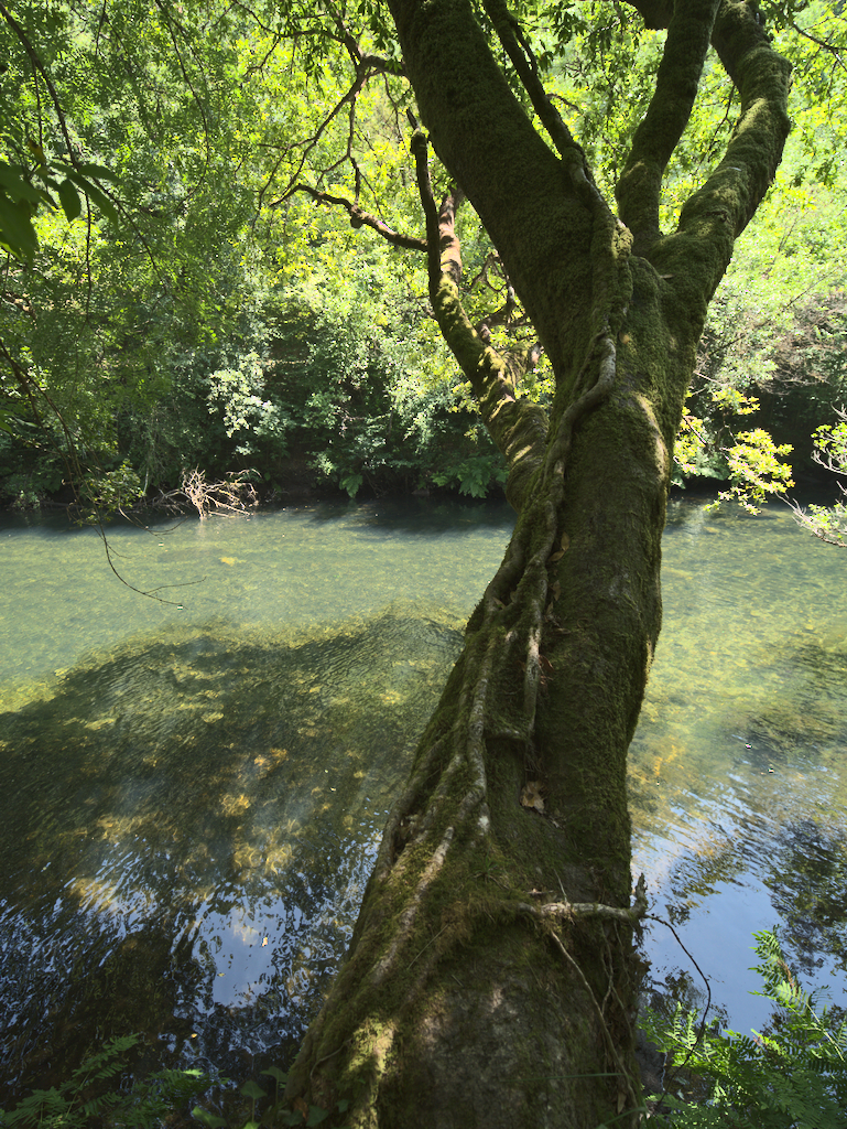 Rio Eume