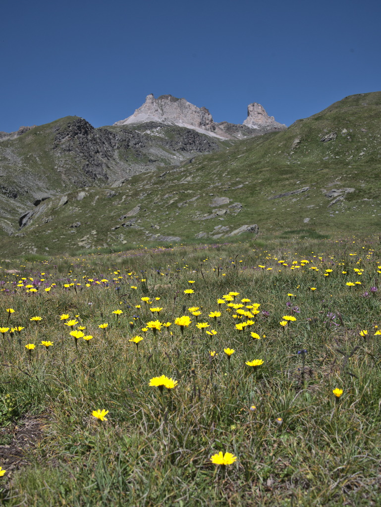 Cime Bianche