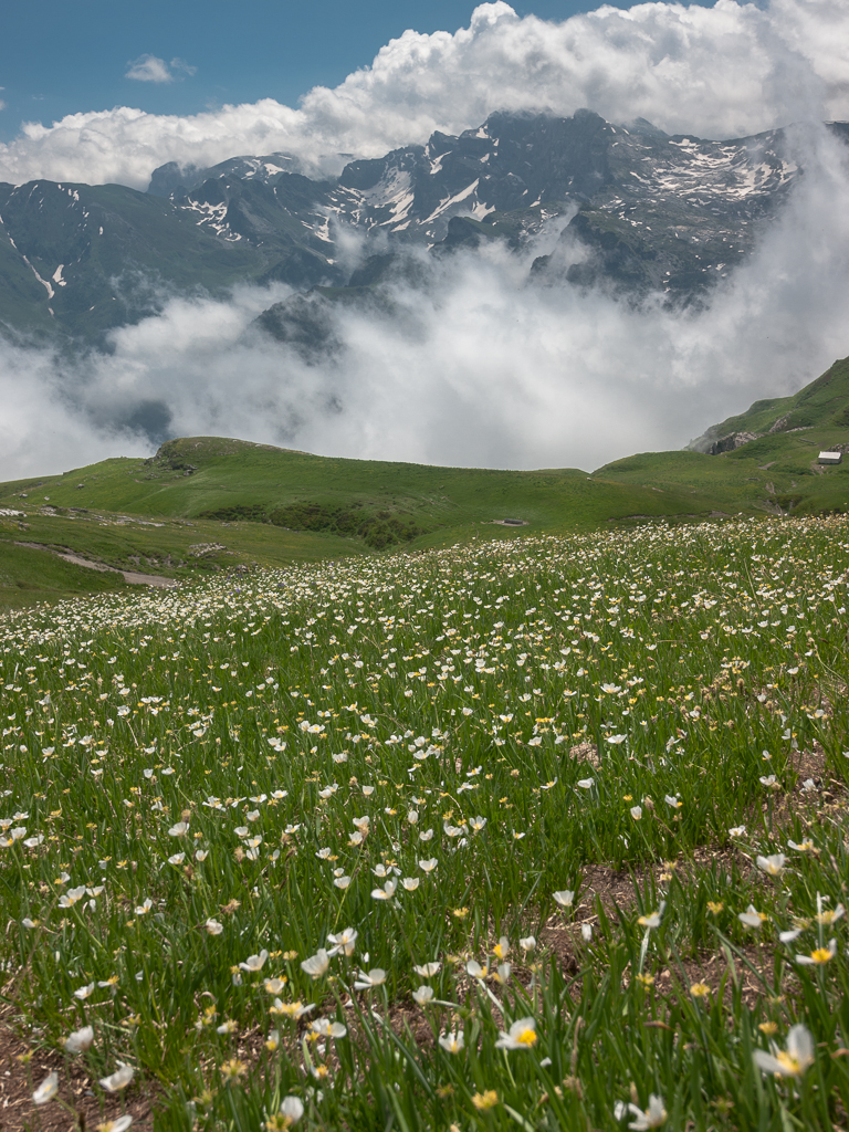 Il Marguareis dal colle Vaccarile