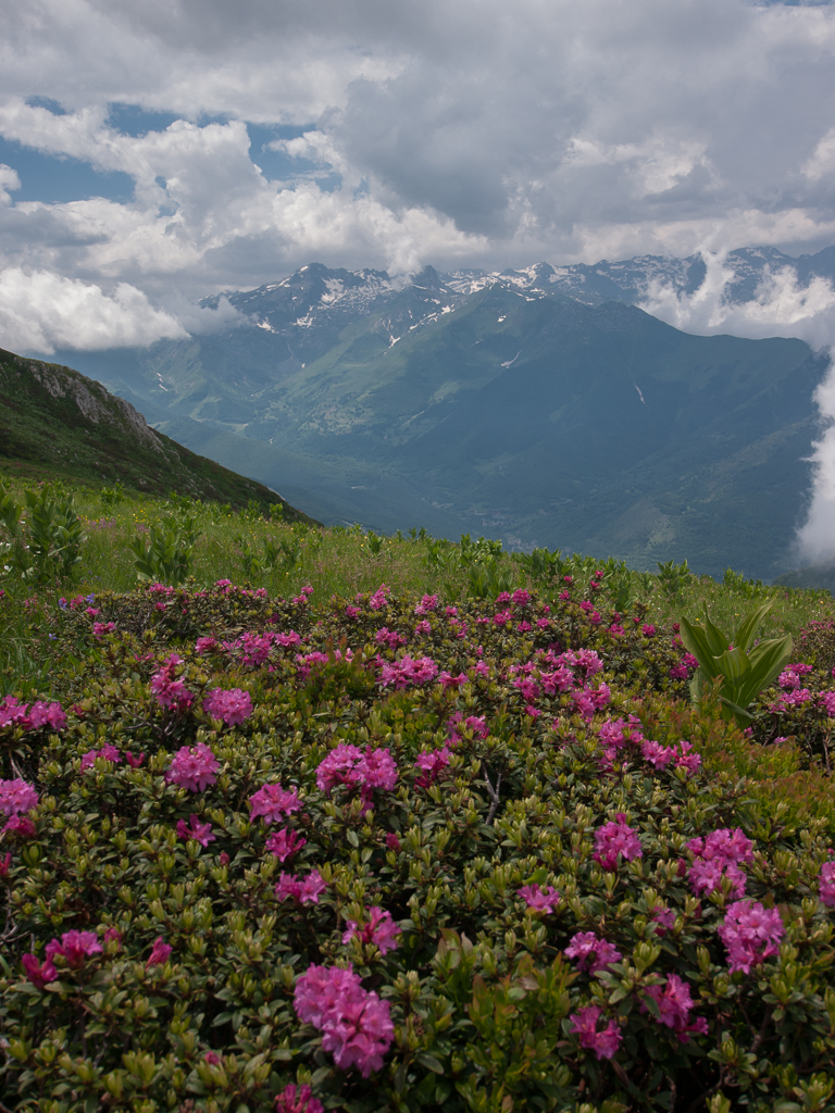 Valle Vermenagna