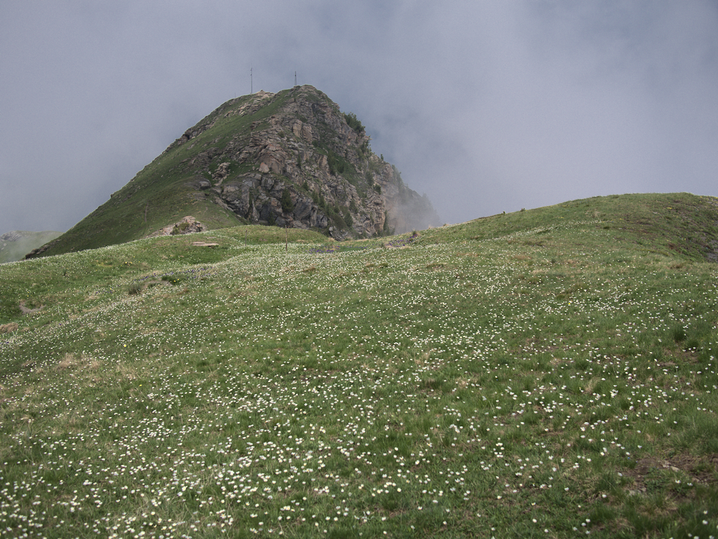 Monte Nebin
