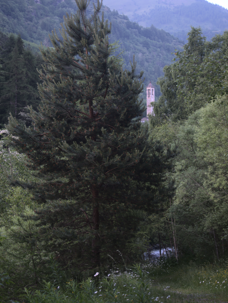 Villaretto
