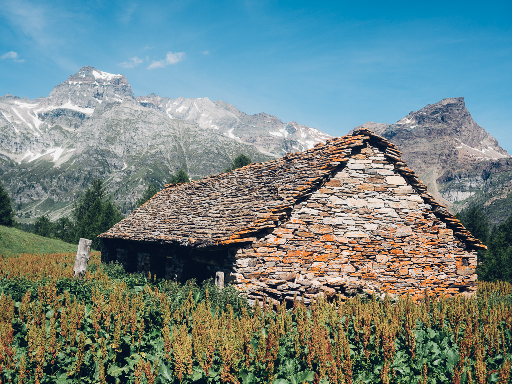 Alpe Fontane con Cervandone e Punta Fizzi