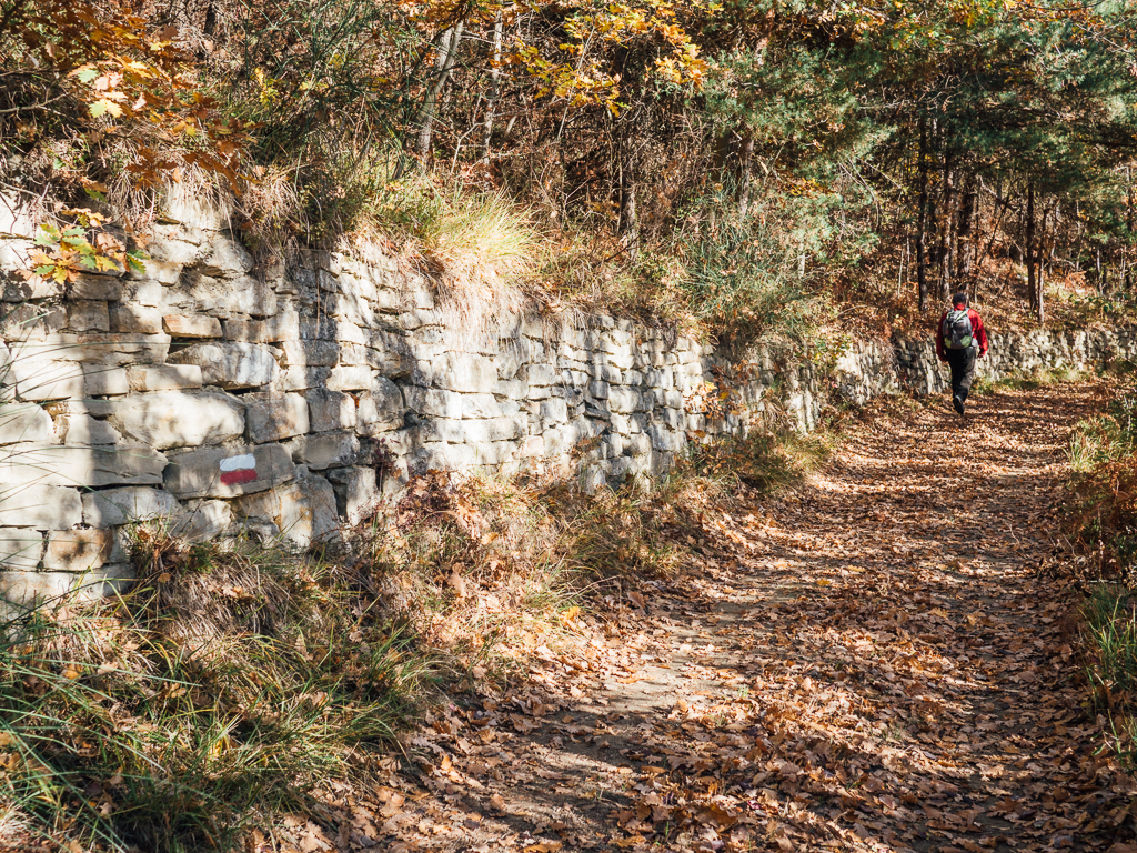 Bosco della Luja