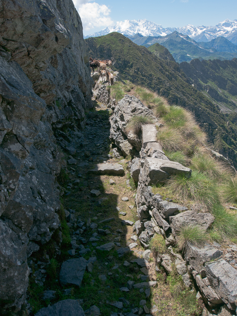 La trincea Cadorna del Massone con Monte Rosa