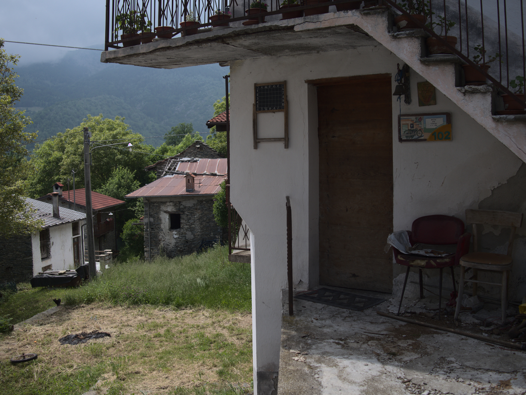 Chionea