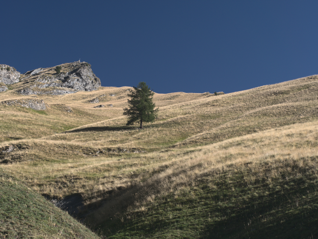 Monte Peyron
