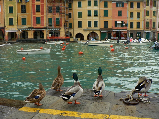 Portofino