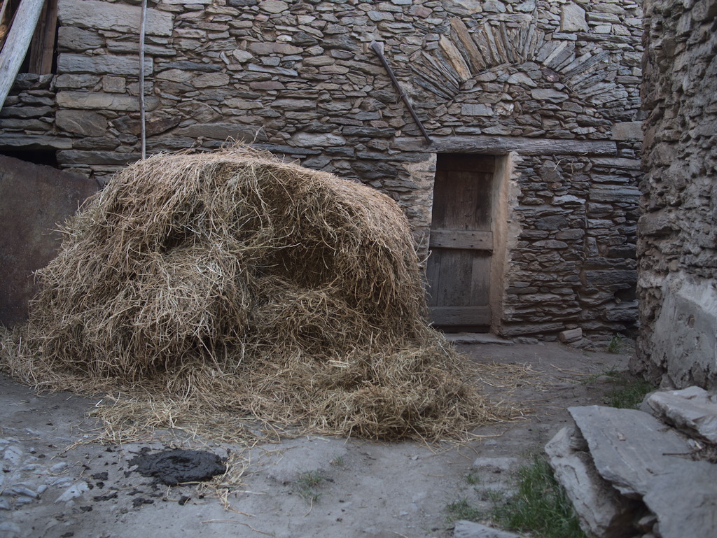 Cerisieri