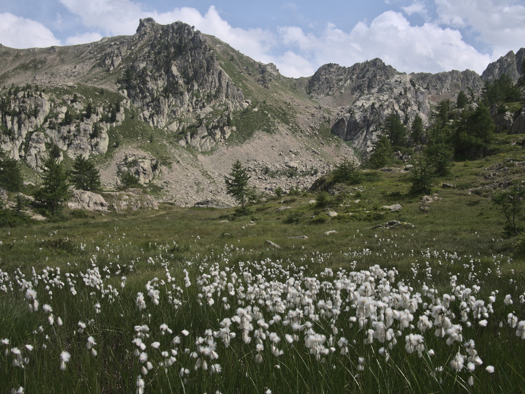 Vallone di Tesina