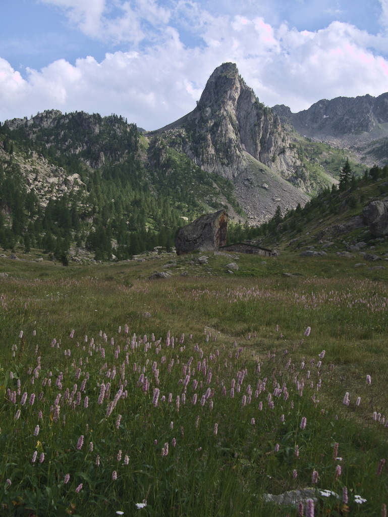 Piano di Tesina
