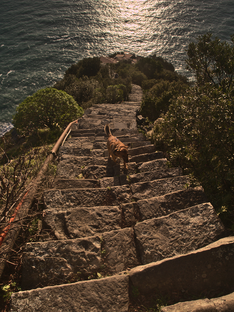 Scala Grande di Monesteroli
