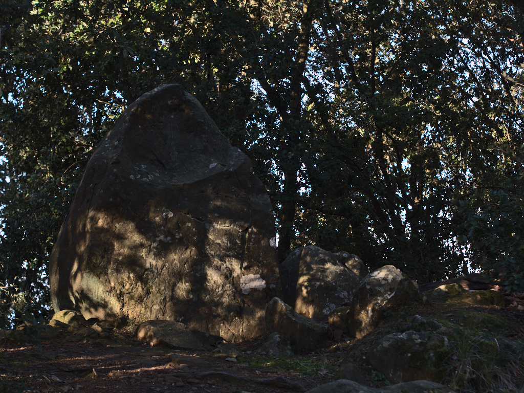 Menhir di Tramonti (Croce di Schiara)