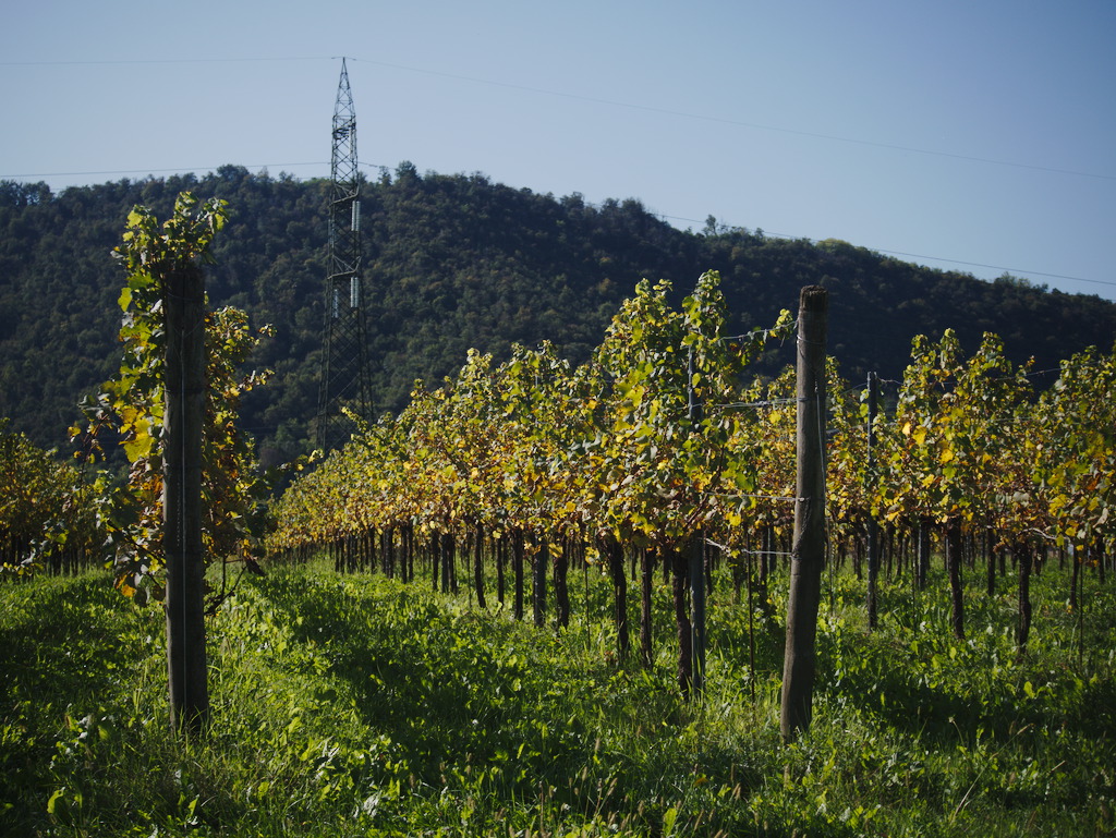 Franciacorta