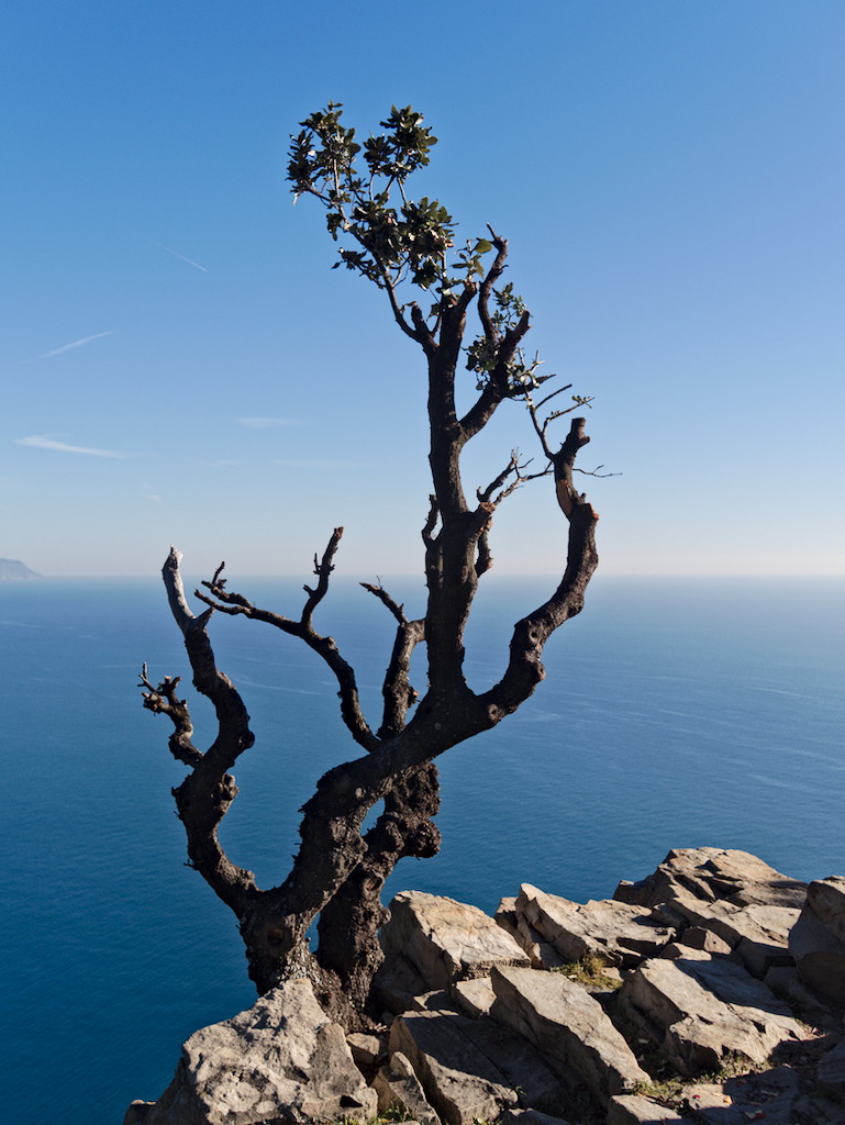 Punta Manara - Riviera di Levante