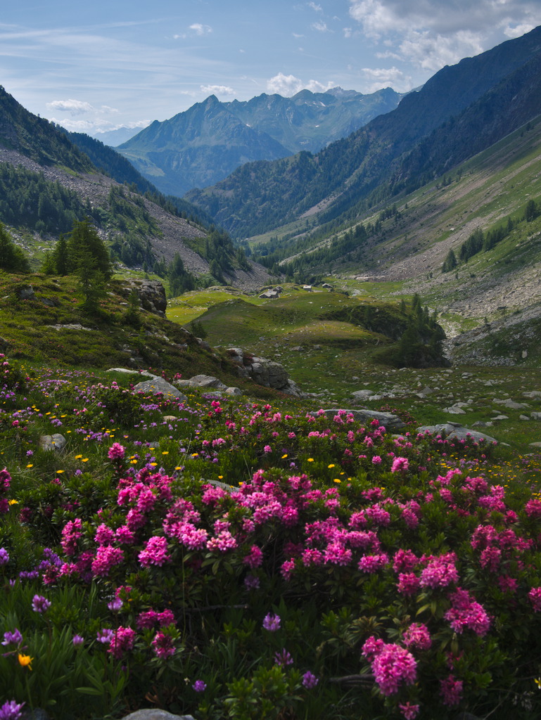 Ober Loo - Valle di Gressoney