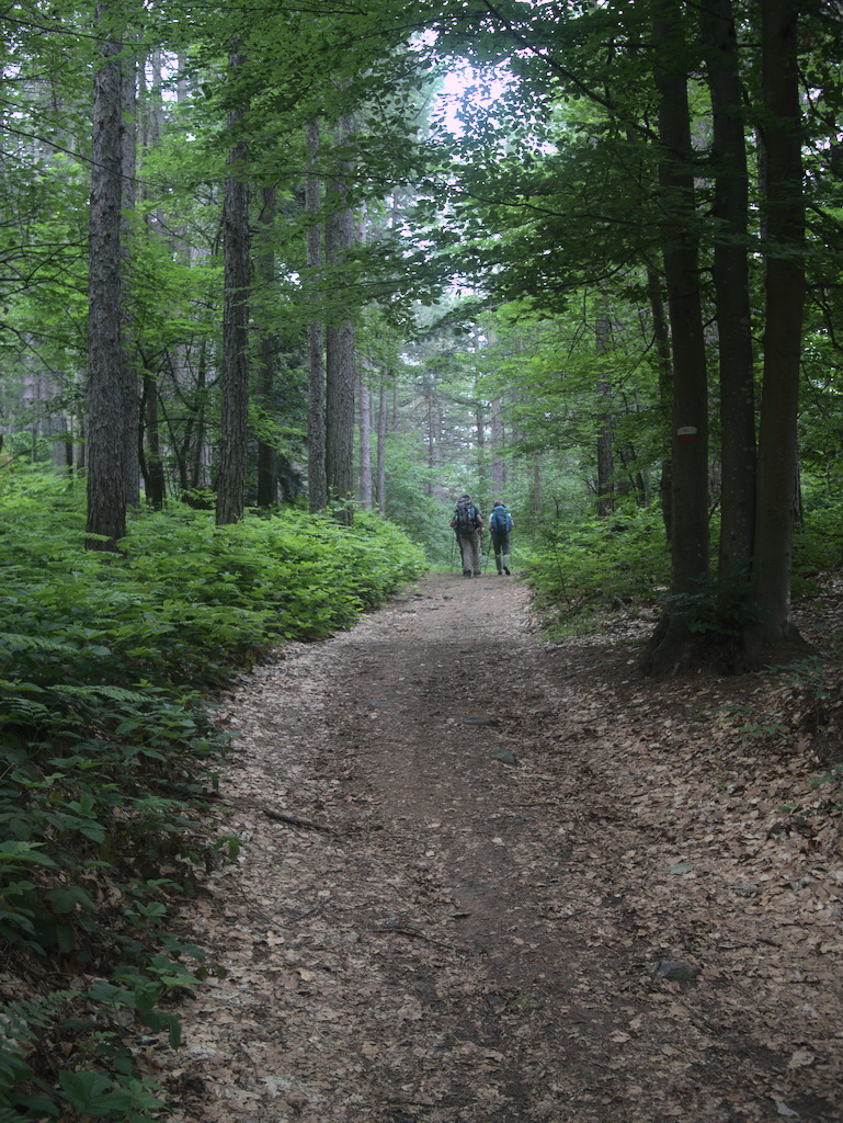 Parco di Pietra Corva