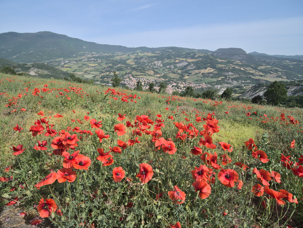 Val Trebbia e Bobbio
