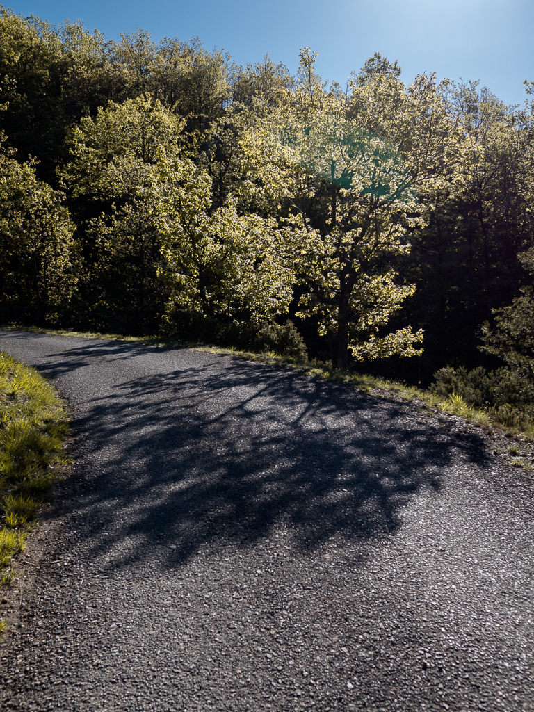 Strada per cascina Tiole