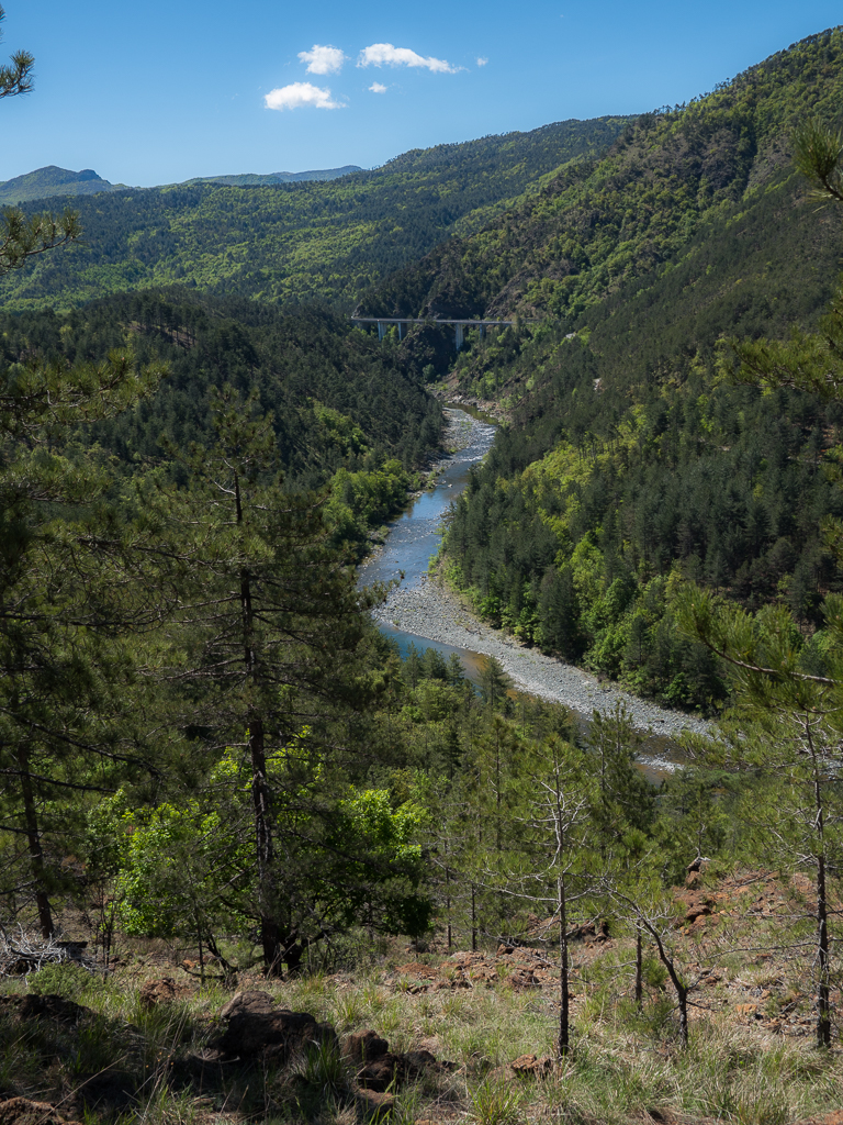 Torrente Orba
