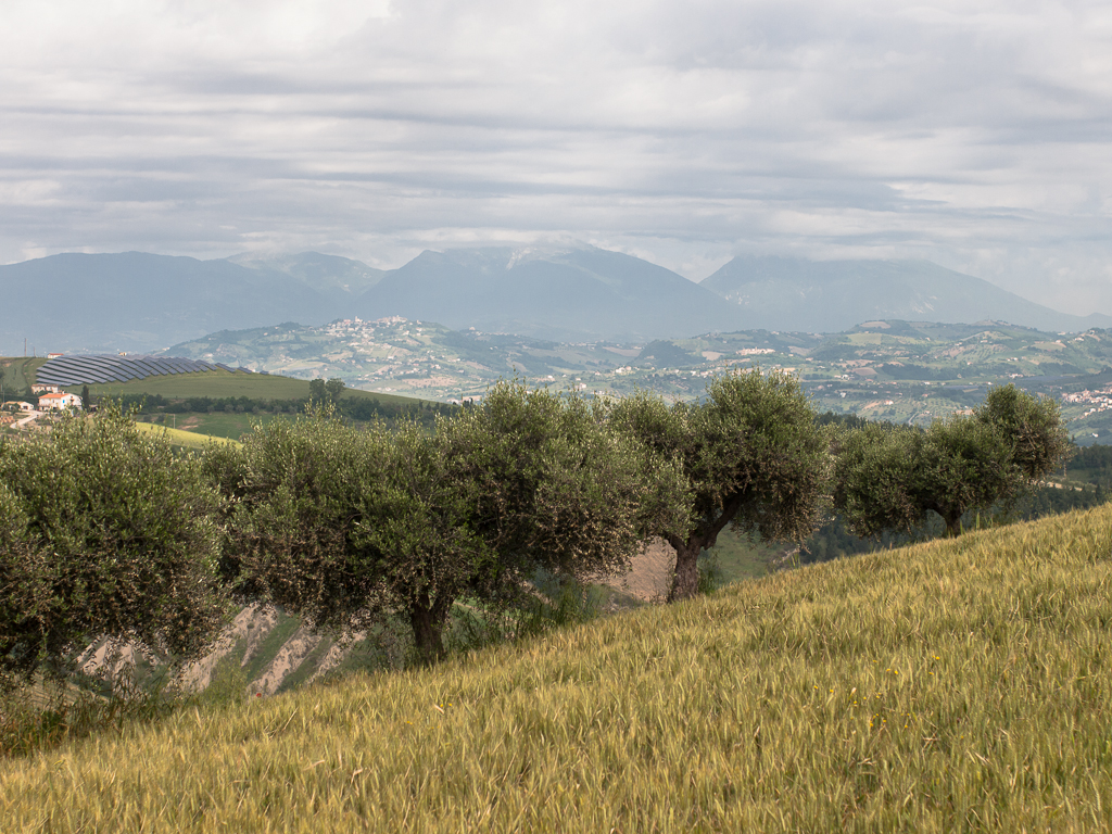 Panorama da L