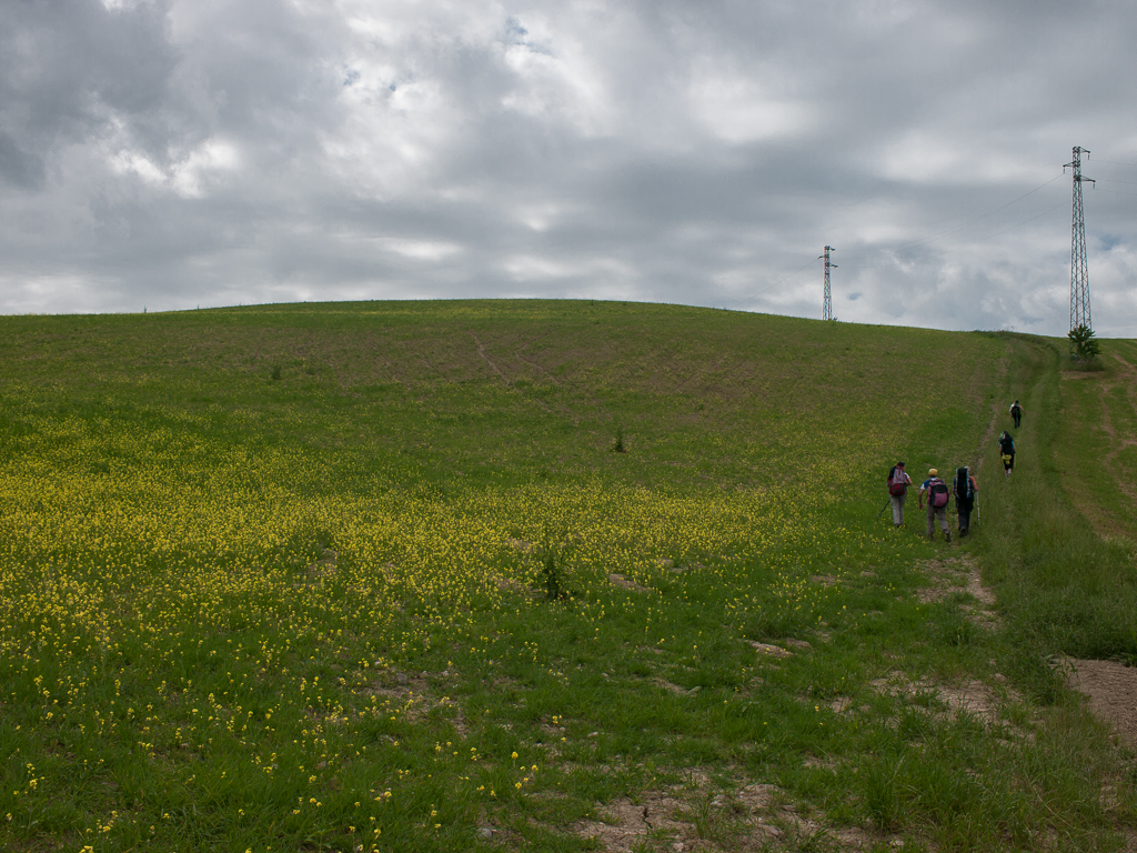 Panorama con tralicci