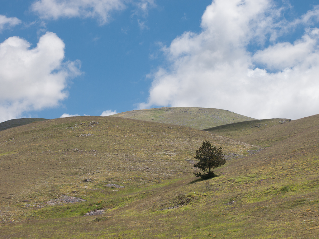 Valle Orticara