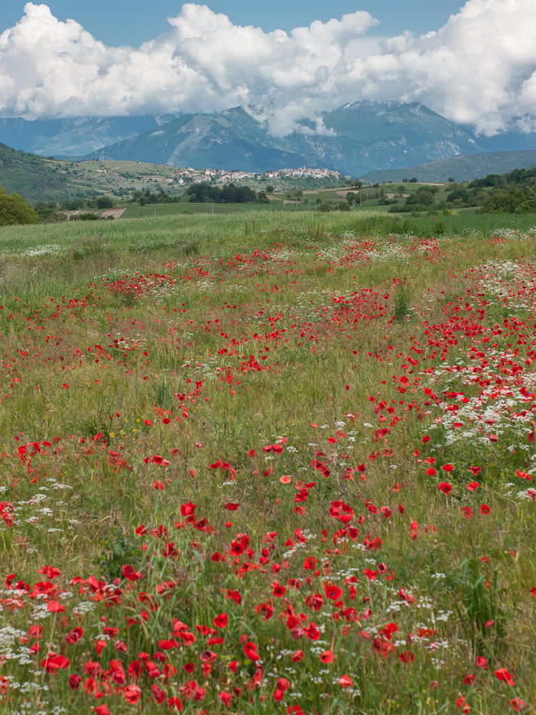 Piana di Navelli