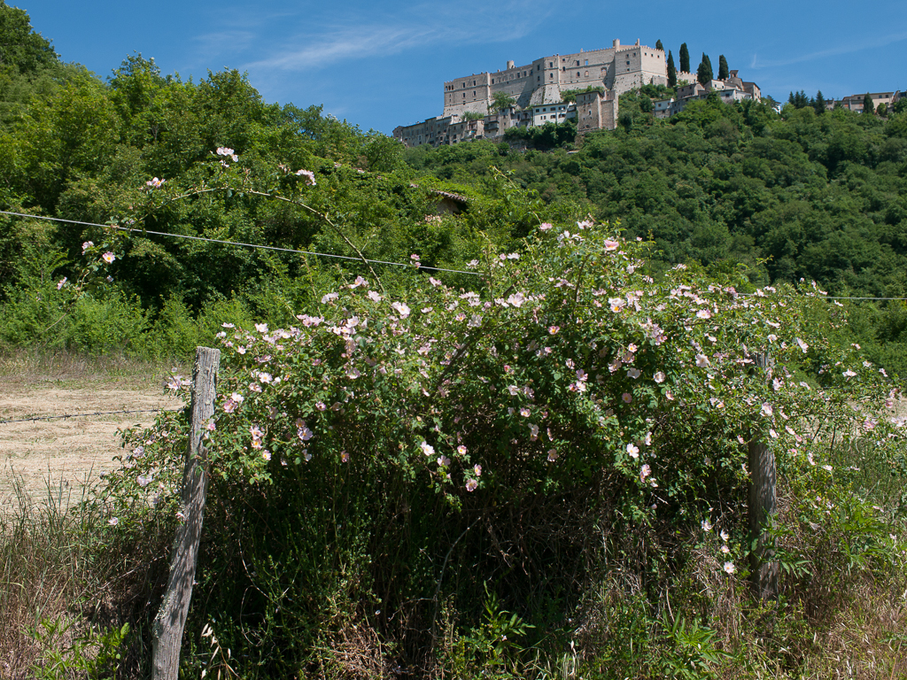 Rocca Sinibalda