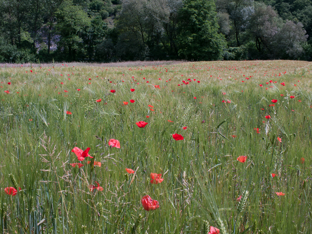 Valle del Turano