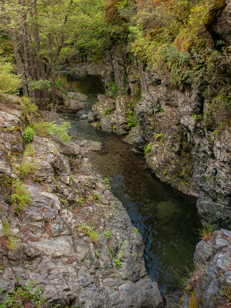 Torrente Bravona