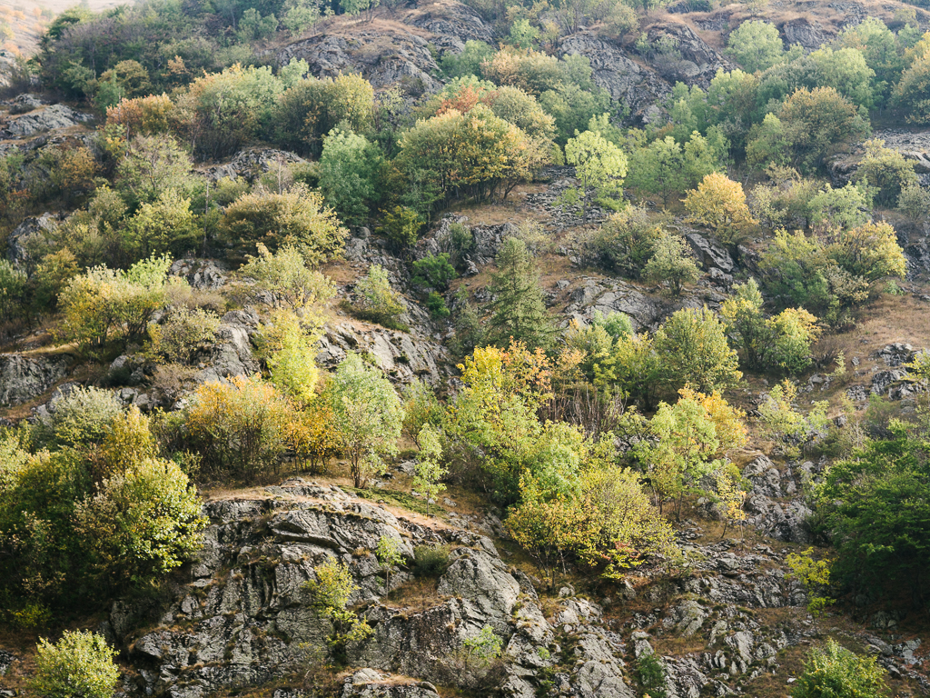 Vallone del Malinvern