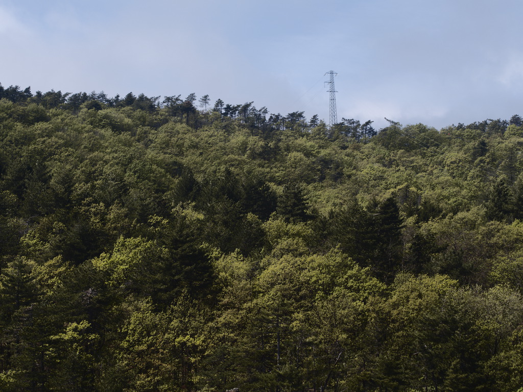 Foresta della Deiva