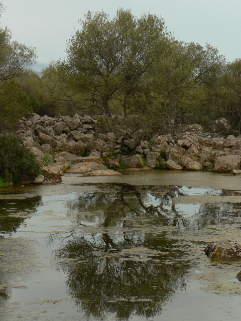 Piscinas