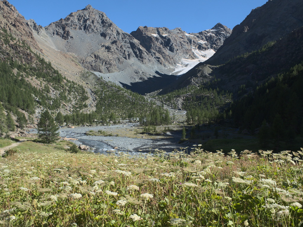 Alpe Ventina