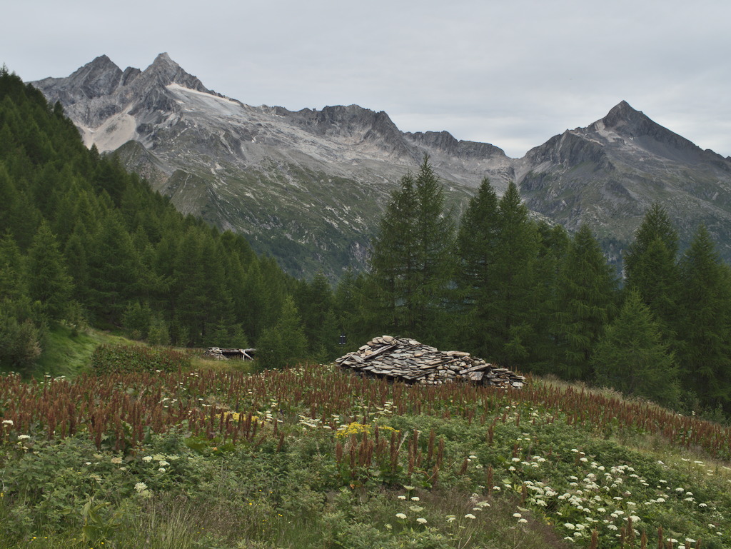 Alpe Pirola