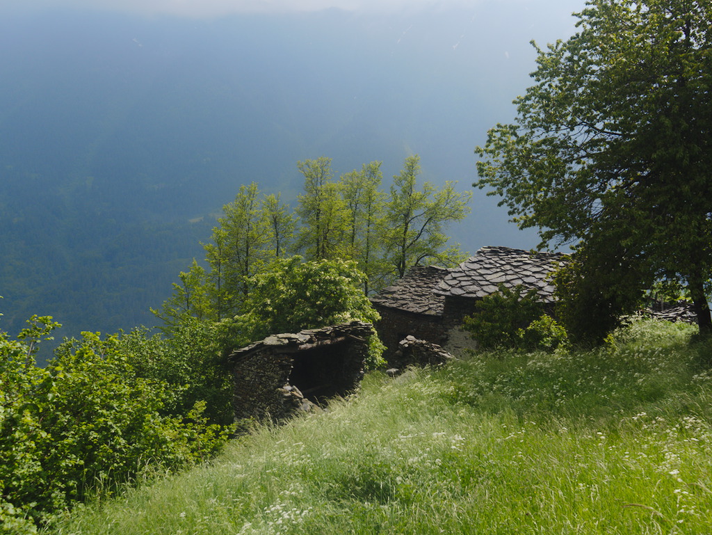 Grange Auriol